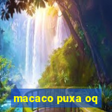 macaco puxa oq